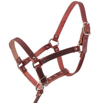 Weaver Riveted Latigo Leather Halter